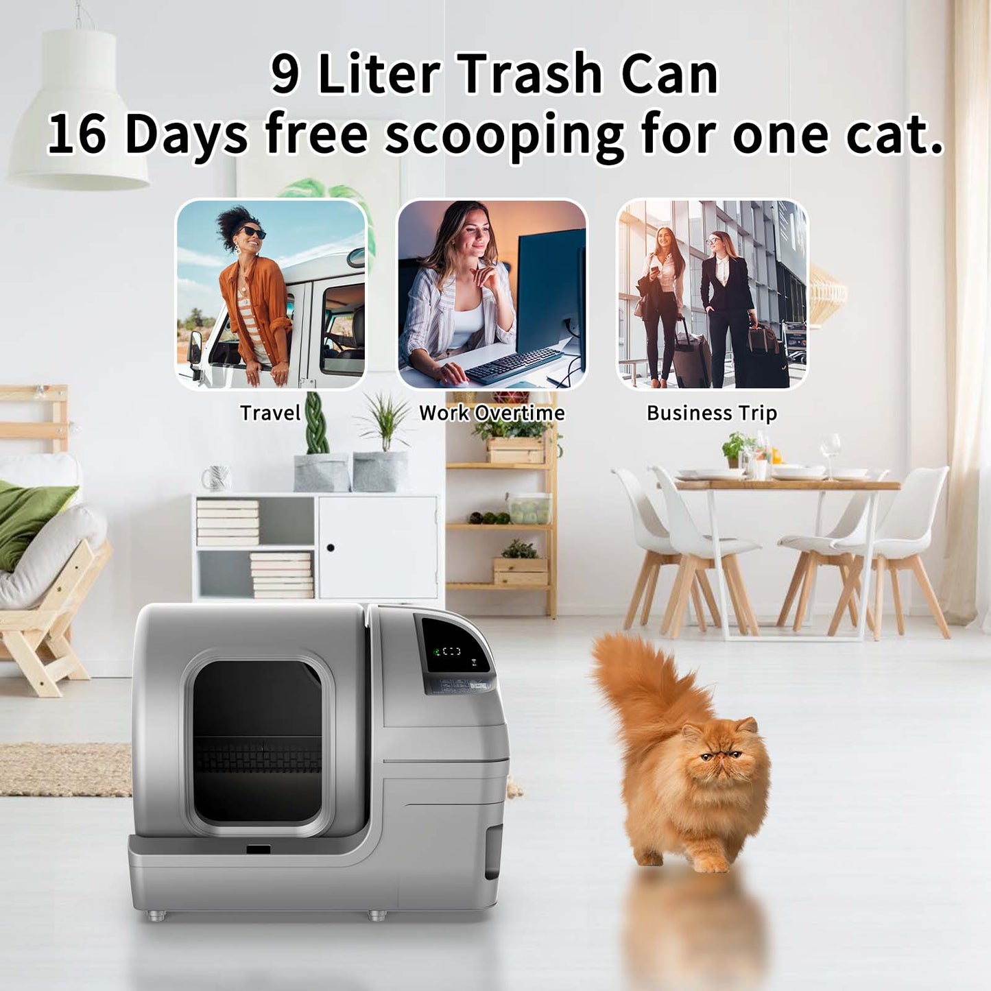 Extra Large Self Cleaning Cat Litter Box with APP Control & Safe Alert & Smart Health Monitor, Grey